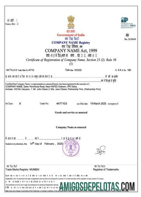 Certificado de Registro de Registro da Índia em branco modelo Word e PDF, Versão 3